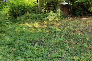 Vendita terreno agricolo edificabile