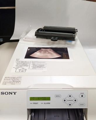 Stampante Sony Digitale UPD25MD COLORE
