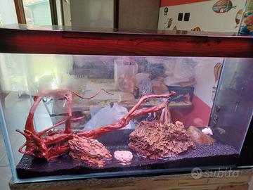 Acquario