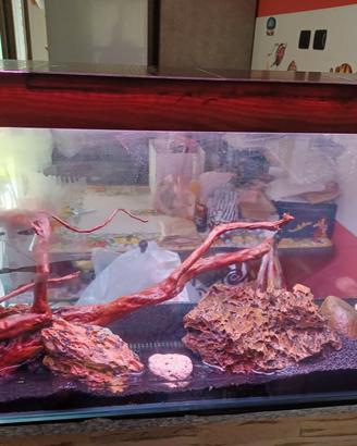 Acquario