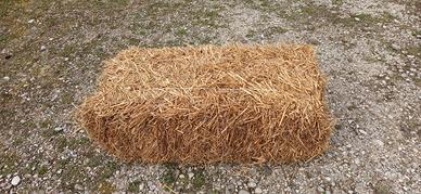 BALLE DI PAGLIA