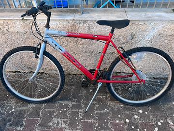 Bicicletta