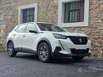 Peugeot 2008 PureTech 100 S&S Active