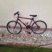 atala flyer c90 Mountain bike