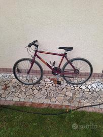 atala flyer c90 Mountain bike