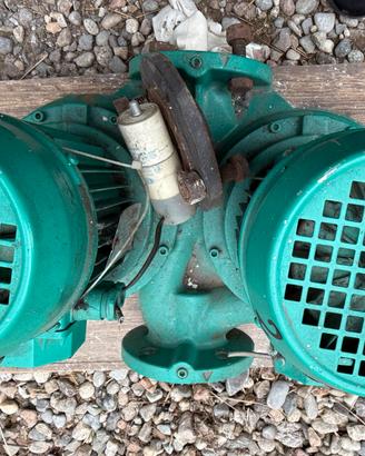 Pompa B pompa  gemellare Wilo DPL  40-130 e flange