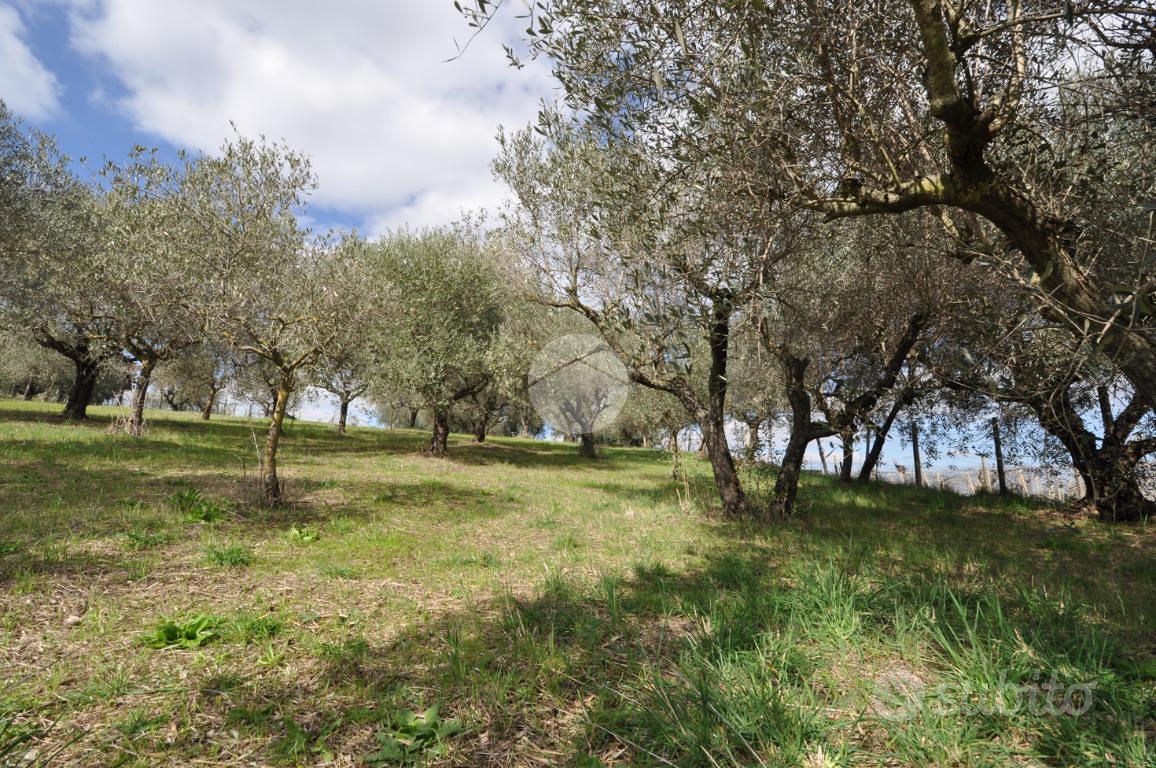 TER. AGRICOLO A ROMA - Vista 4