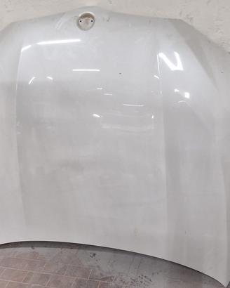 cofano anteriore BMW X3 41008499153