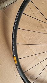 ruota mtb 29 center lock  100 mm 