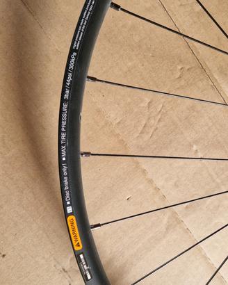 ruota mtb 29 center lock  100 mm 
