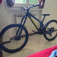 Bicicletta propain spingdrift