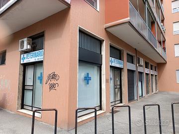 Ambulatorio veterinario