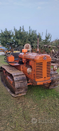 Trattore cingoli OM 50 C