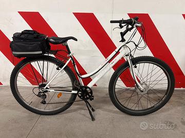 Bici elettrica da passeggio
