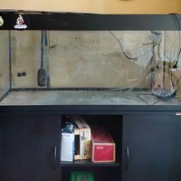acquario 270 l (650€ trattabili)