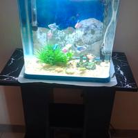 Acquario completo 