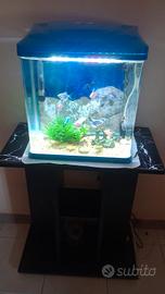 Acquario completo 