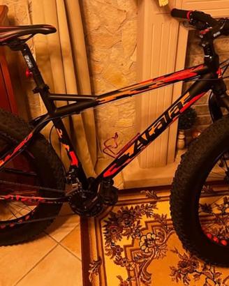 Bici Fat bike
