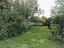 Immagine 22
