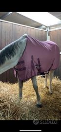 COPERTA in COTONEper Cavalli Umbria equitazione