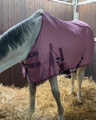 COPERTA in COTONEper Cavalli Umbria equitazione