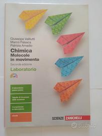 Chimica molecole in movimento, laboratorio