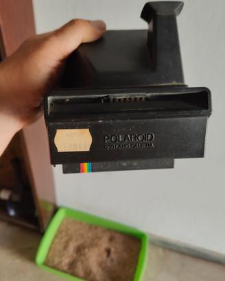 polaroid super color 600