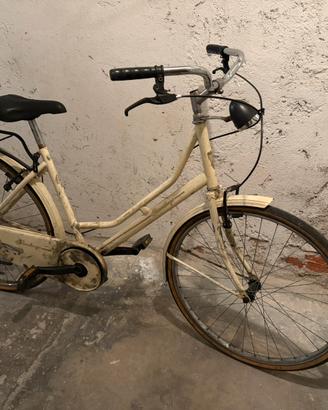 Bicicletta donna 26