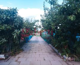 Zona Parco Parodi, indipendente unico livello