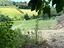 Immagine 12