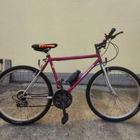 Bicicletta da ragazzina 