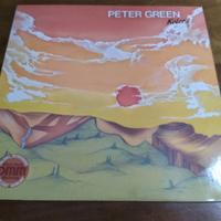 Disco Vinile Peter Green