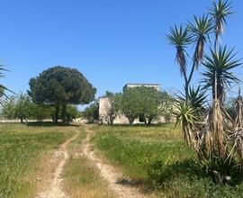 Masseria antica