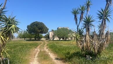 Masseria antica