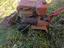 Immagine 2