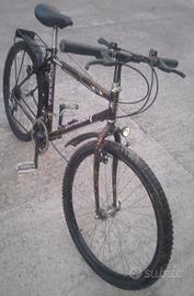 Mountain bike e corsa (bis)