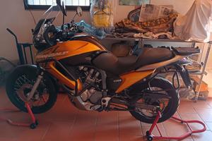 HONDA TRANSALP XLV 700 ANNO 2008
