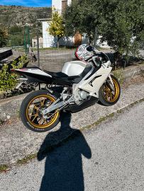 Aprilia rs 50 smembro