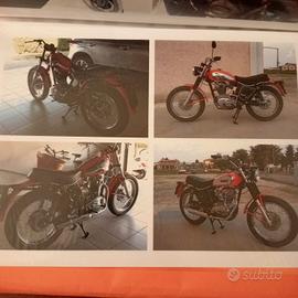 ducati scrambler 