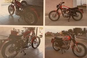 ducati scrambler 