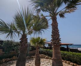 Villa Baia di Cornino