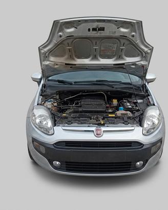 fiat punto evo