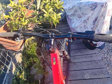 bicicletta cannon Dale 