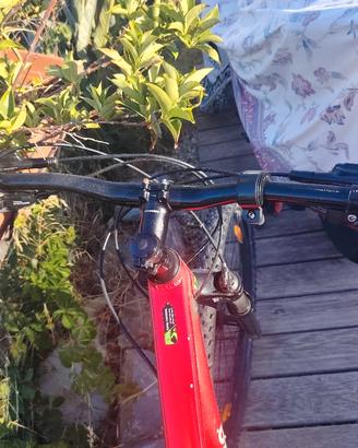 bicicletta cannon Dale 