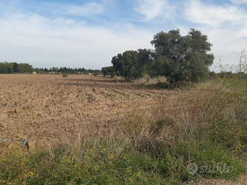 Uta - Terreno agricolo