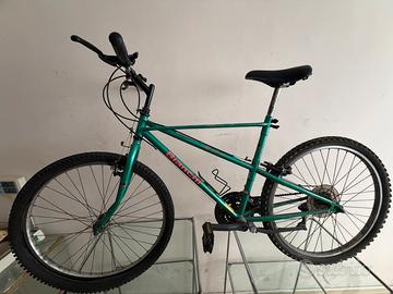 Mountain Bike Bianchi 26