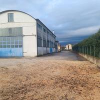 Capannone artigianale con Carroponte