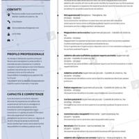 Magazziniere mulettista scaffalista ealtremansioni