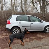 Ricambi Volkswagen Golf 5 1K 2004 1.9 Diesel BKC