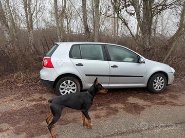 Ricambi Volkswagen Golf 5 1K 2004 1.9 Diesel BKC
